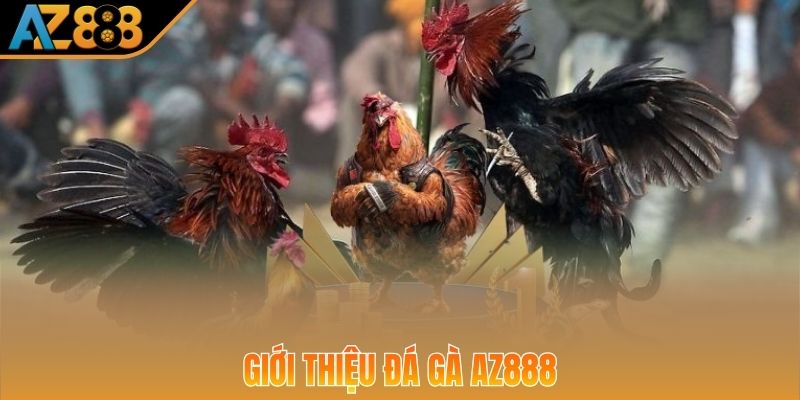 Thông tin về danh mục đá gà trực tuyến