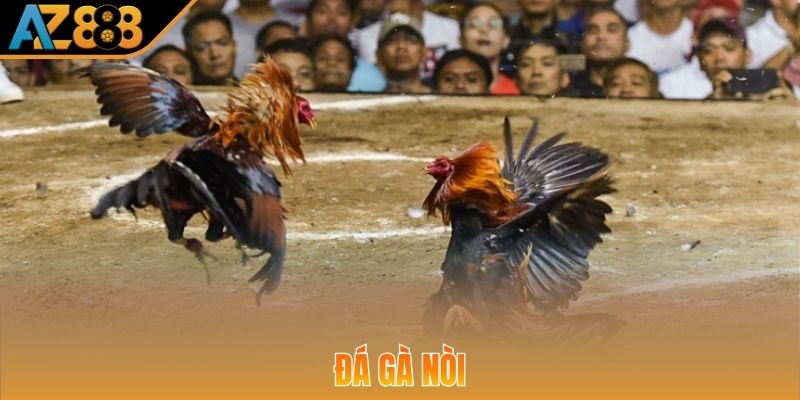Siêu phẩm chọi gà nòi mang đến những trận đấu nảy lửa nhất