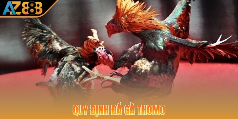 Thông tin về luật cá cược chọi gà Thomo chuẩn